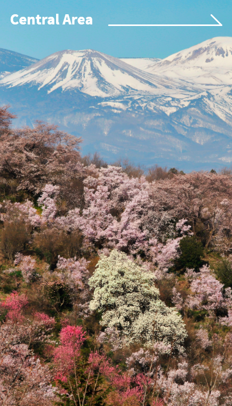 Central Area Central Area